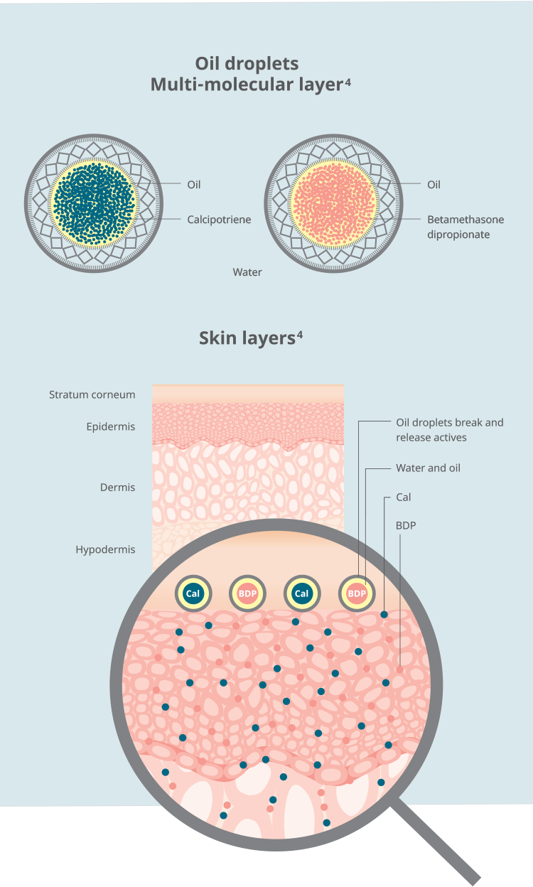 Oil droplets multi-molecular layer infographic.